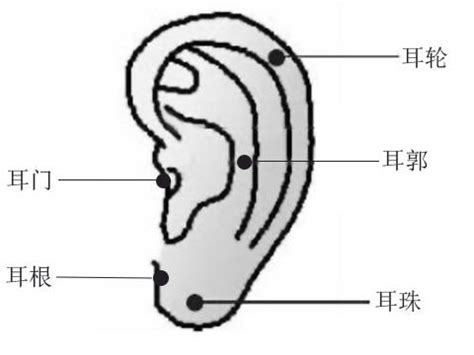 耳 痣|耳朵痣的位置与命运图解大全